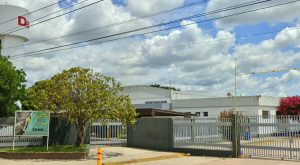 Made in Milei: la empresa de calzado deportivo Dass anunció que deja de fabricar en Buenos Aires para importar y despide a 360 trabajadores