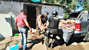 Secuestraron 700 kilos de carne vacuna de animales faenados y detuvieron a un hombre en la localidad de Frontera