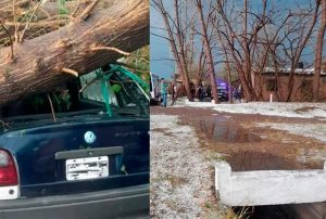 Tormenta fatal en Mendoza: un joven murió aplastado por un árbol al intentar proteger su auto del granizo