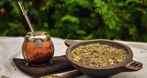 La yerba mate ya tiene genoma completo: lo descifraron científicos del Conicet y servirá para mejorar el cultivo