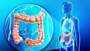 Cuidá tu colon: la fruta repleta de antioxidantes que ayuda a limpiar el organismo y previene enfermedades