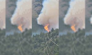 Un rosarino admitió haber originado el incendio forestal en el cerro Meta en Bariloche