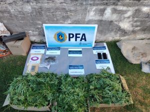 La Policía Federal Argentina incautó más de 13 kg de marihuana en Venado Tuerto