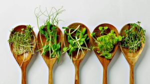 Cuál es el té que alivia la artritis y combate la anemia y el colesterol