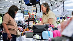 Este miércoles se realiza una nueva feria especial por la "Vuelta a Clases"