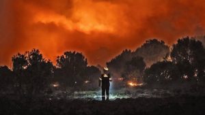 Alarma y preocupación en Bariloche: las llamas llegaron a la zona urbana y amenazan las viviendas