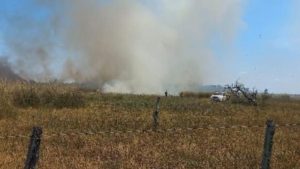 Incendio en Santa Fe: Bomberos Voluntarios logran controlar fuego que impactó más de 8.000 hectáreas