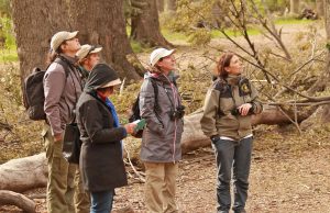 Parques Nacionales busca voluntarios que quieran colaborar en un entorno soñado: los requisitos y cómo aplicar