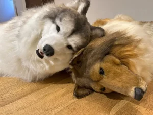 Un zoo para animales humanos: el proyecto de un joven que se convirtió en perro