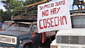 Las cooperativas misioneras al borde de la desaparición por la desregulación y la importación