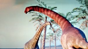 Investigadores nacionales descubren una nueva fauna que habitó hace 75 millones de años el sur argentino