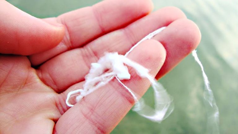 La "baba del Diablo" invadió Rosario: de qué va el extraño fenómeno