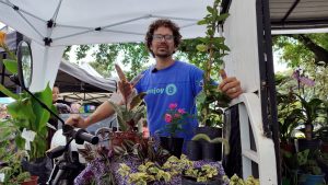 «Orquídeas», un emprendimiento que produce, comercializa y revaloriza plantas exóticas, orquídeas, de interior y frutales