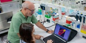 Ciencias biológicas y de la salud: descifran nuevos secretos sobre la regeneración de las plantas