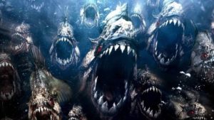 Escapaba de un enjambre de abejas, se tiró a un lago y murió devorado por pirañas