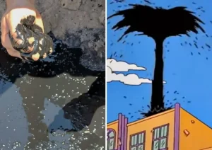 Como en Los Simpson: hacían una excavación en una escuela de Argentina y encontraron petróleo