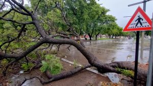 Fotos: Juan José García