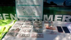 Detectaron en un colectivo a un pasajero con casi $150 millones sin declarar