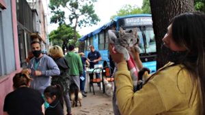 Día del Animal: el municipio promueve la adopción responsable y la castración y continúa con los rescates
