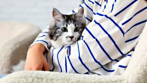 ¿Mi gato sabe si estoy enfermo? Cómo los felinos perciben las enfermedades