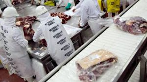 Medidas en Estados Unidos: podrían dejar de comprar carne de Argentina