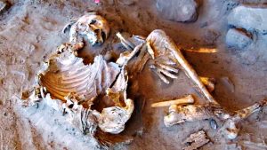 Dos momias develan que un linaje humano vivió aislado en el Sáhara verde hace 7000 años