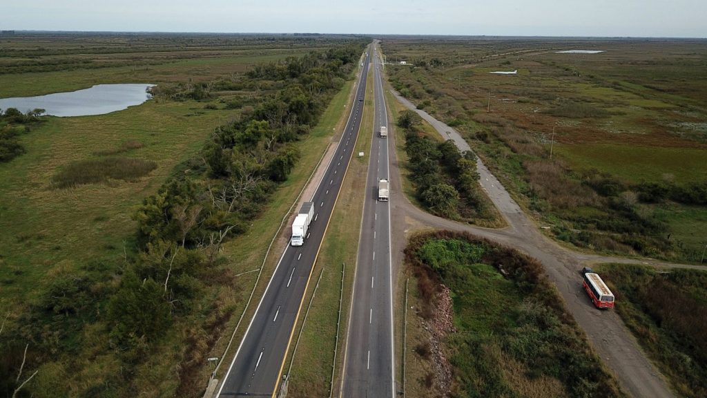 Otro ecocidio: reclaman a Nación pasafaunas en el corredor Rosario-Victoria, también para evitar siniestros viales