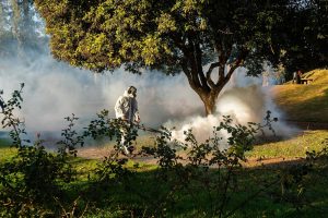 Contra el dengue: se realizan operativos de fumigación en más de 55 parques y plazas
