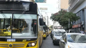 El Concejo pide un análisis del impacto de los carriles exclusivos en Rosario