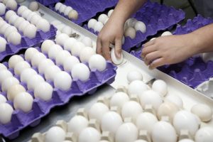 Estados Unidos: el precio de los huevos sube a máximos históricos