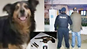 Un hombre mató al perro de su vecino porque le molestaban los ladridos