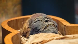 Desentierran 2 momias milenarias y el ADN no pertenece a ningún humano conocido