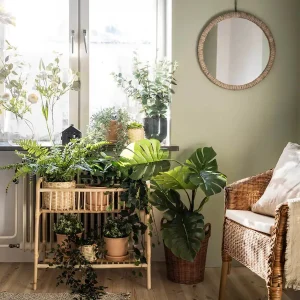 Las siete plantas resistentes para decorar pasillos oscuros y a los que no les llega la luz natural
