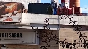 Agredieron a un candidato a concejal por San Lorenzo por sacarle una foto a un contenedor 