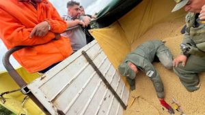 Interceptaron en Salta un camión que transportaba 20 kilos de cocaína ocultos entre granos de soja cuyo destino final era Rosario