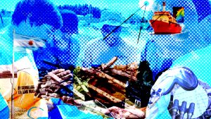 Malvinas en la investigación de antropólogos, oceanógrafos y arqueólogos del Conicet: historia, recursos, memoria y salud mental