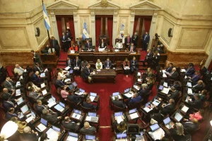 Los senadores cobrarán en mayo más de 9 millones de pesos en bruto: serán más 25 jubilaciones mínimas con bono