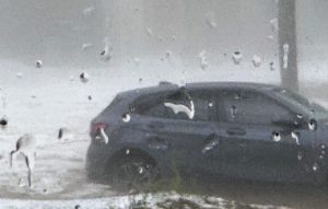 Lunes con pronóstico de tormentas durante todo el día