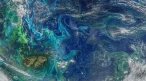 El increíble fenómeno biológico en las Islas Malvinas detectado por la Nasa