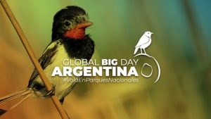 Fiebre de sábado por la mañana: el Parque Nacional Islas de Santa Fe forma parte de un evento global de avistaje de aves