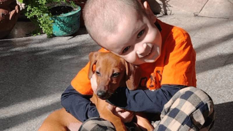 Sigue la Campaña por Nico: Un Niño Rosarino Necesita 150 Mil Dólares para Tratamiento Vital en EE.UU.