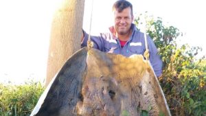 San Javier: pescaron una raya de unos 150 kilos