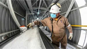 La industria argentina continúa estancada: sin recuperación firme tras un 2024 recesivo