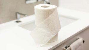 Se acabó la discusión: el inventor del papel higiénico había revelado la forma correcta de colgarlo