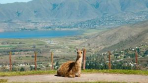 Se conoció el calendario de las vacaciones de invierno 2026: ¿Cuándo tocan en Santa Fe?