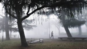 Viernes con mucha niebla