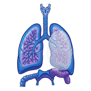 La respiración es tan única como la huella digital: una seña de identidad
