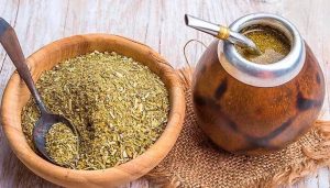 Argentina lanza la primera escuela dedicada exclusivamente al estudio de la yerba mate