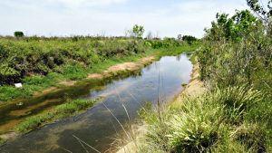 Estancia Damfield en la picota: el proyecto de creación del área protegida Reserva San Jorge aún está sin atención legislativa
