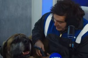 Javier Milei apareció con su perro Conan en un streaming solidario